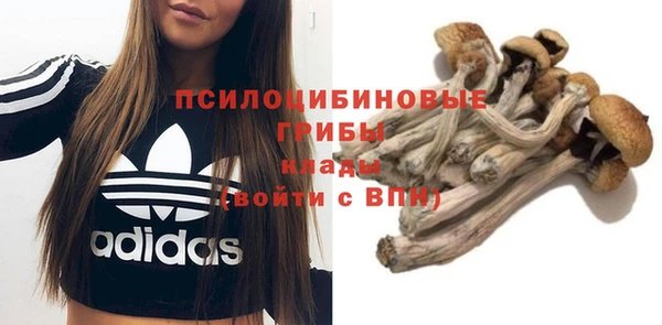 MDMA Premium VHQ Рославль