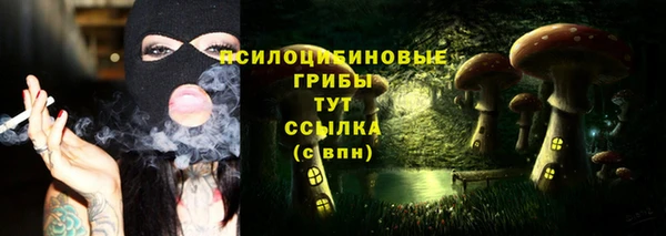 стаф Ростов