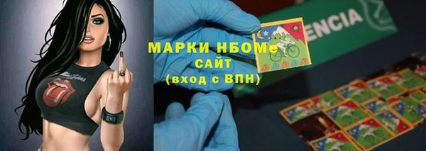 стаф Ростов