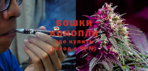 стаф Ростов