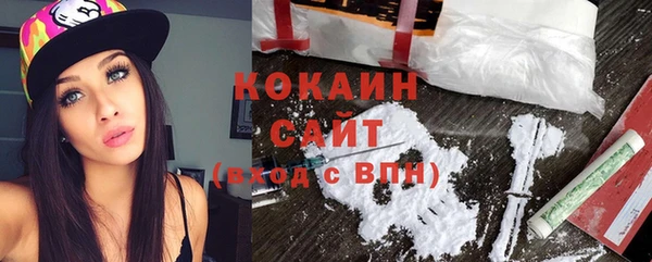 стаф Ростов