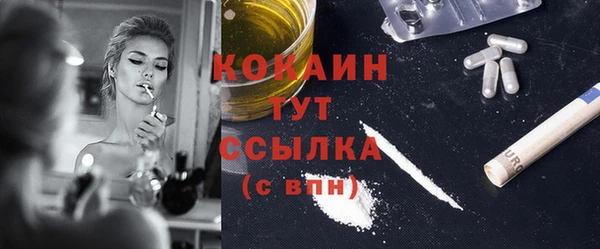 индика Россошь