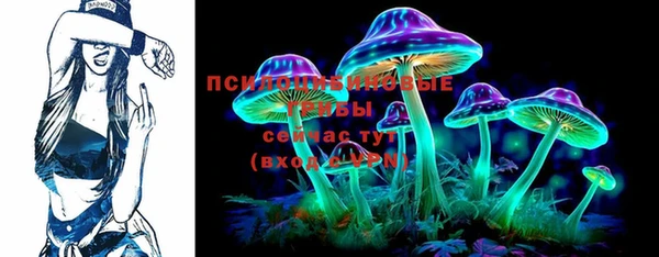 стаф Ростов