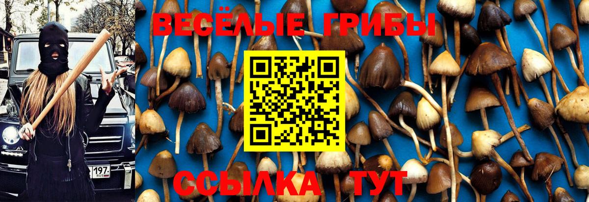 Галлюциногенные грибы GOLDEN TEACHER Сегежа