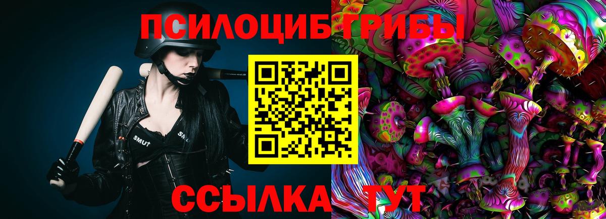 Псилоцибиновые грибы Psilocybe  Псилоцибиновые грибы мицелий  Сегежа  Вход с VPN 